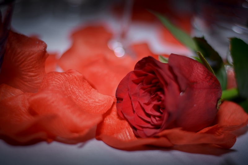 Valentine's at Indigo on The Roof